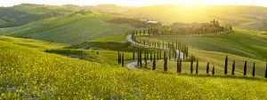 Doorkruis met cipressen omzoomde wegen, een iconisch Toscaans uitzicht