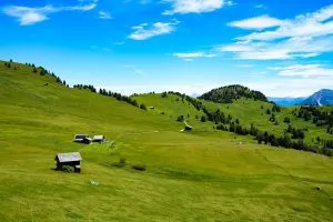 Dolomites meadows