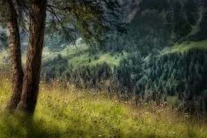 La nature des Dolomites